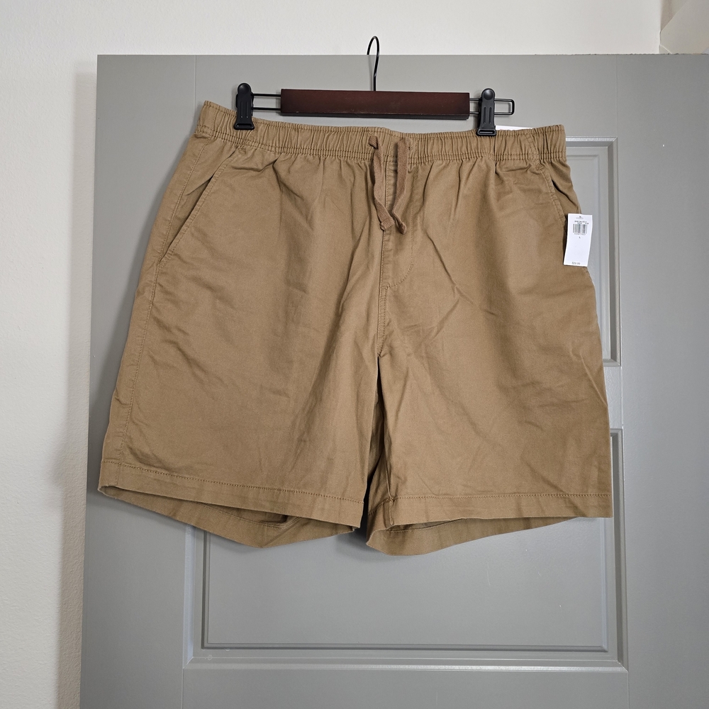 Old Navy Men's Brown Flat Front Shorts